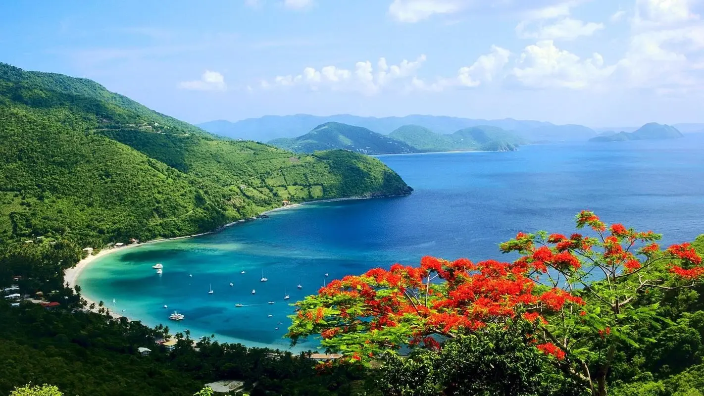 高端独特节能